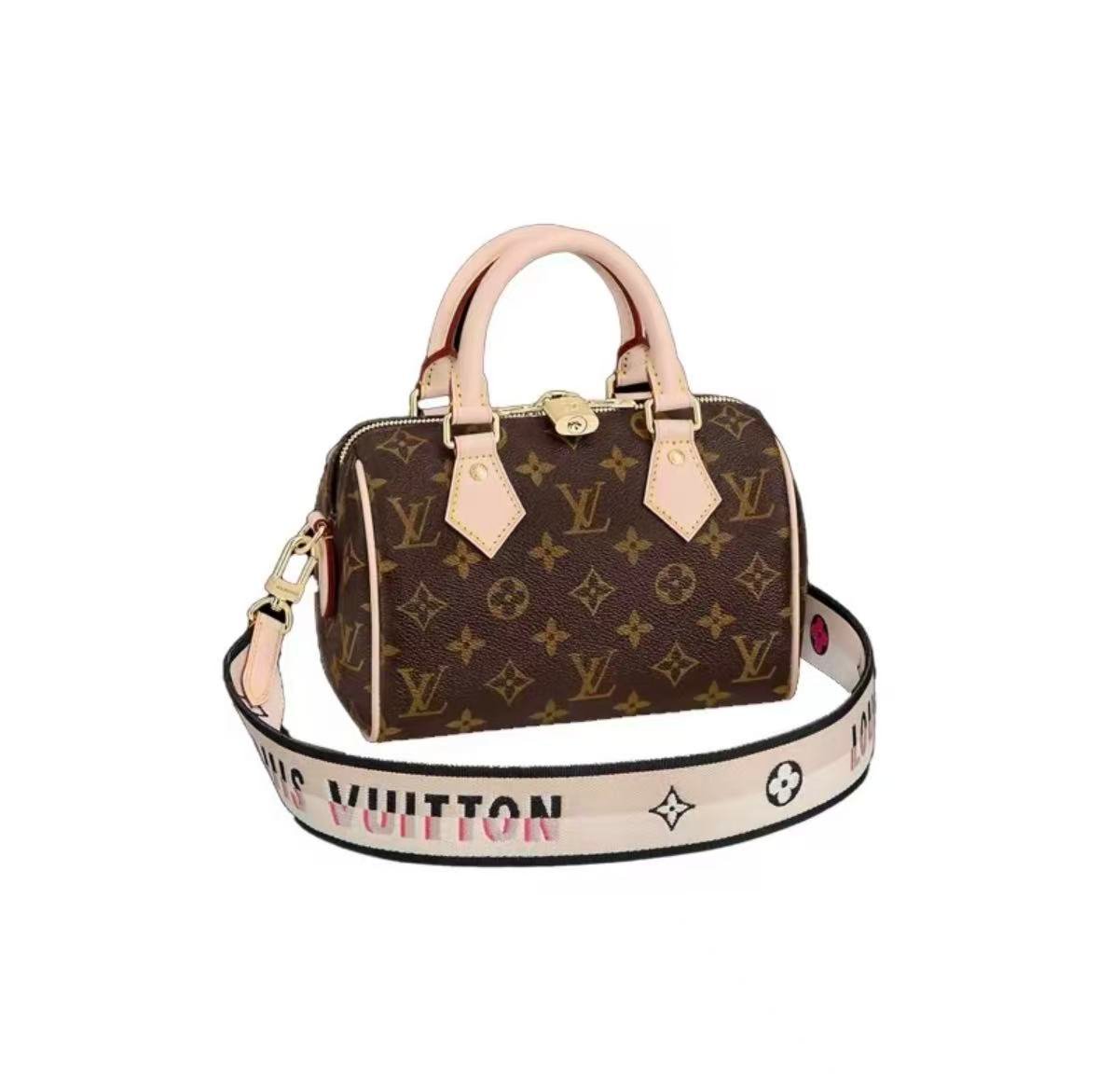 Louis Vuitton Speedy 20