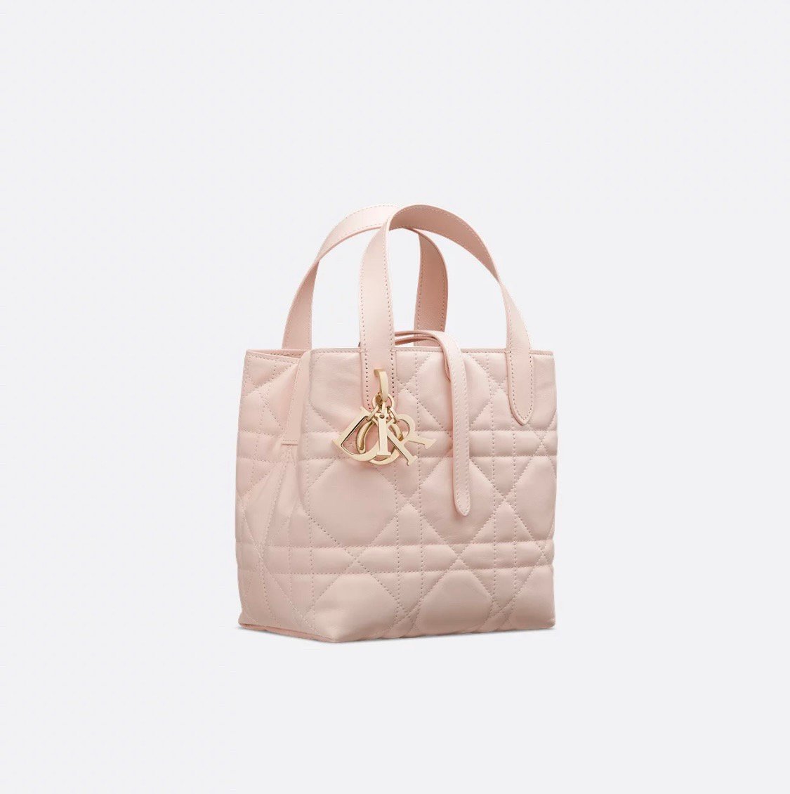 Dior Toujours Vertical Series Mini Sweet Pink