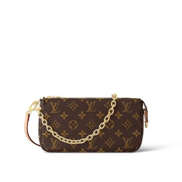 LV Pochette Accessoires Handbag