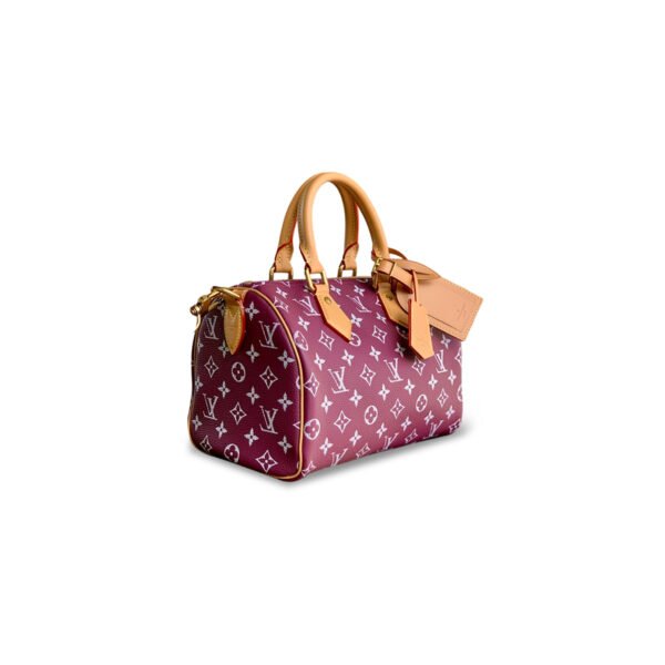 LOUIS VUITTON SPEEDY P9 BANDOULIÈRE 25 M24443 (25*15*15cm)